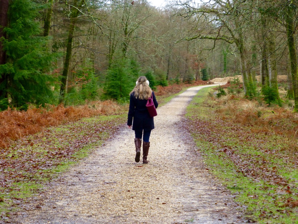 Walking in the New Forest off Rhinefield Ornamental Drive