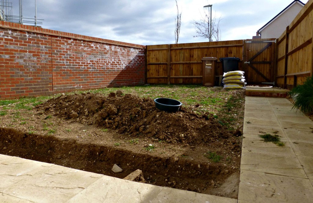 our garden march 2015