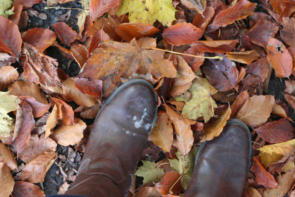 Muddy boots