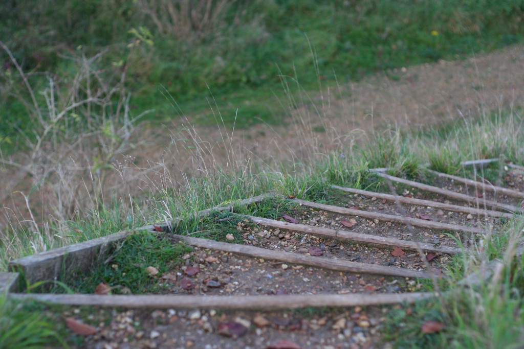 Danebury Hill Fort