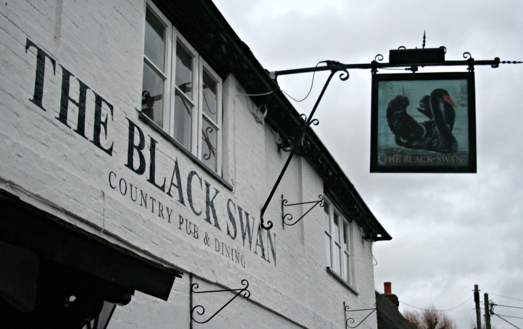 The Black Swan Monxton