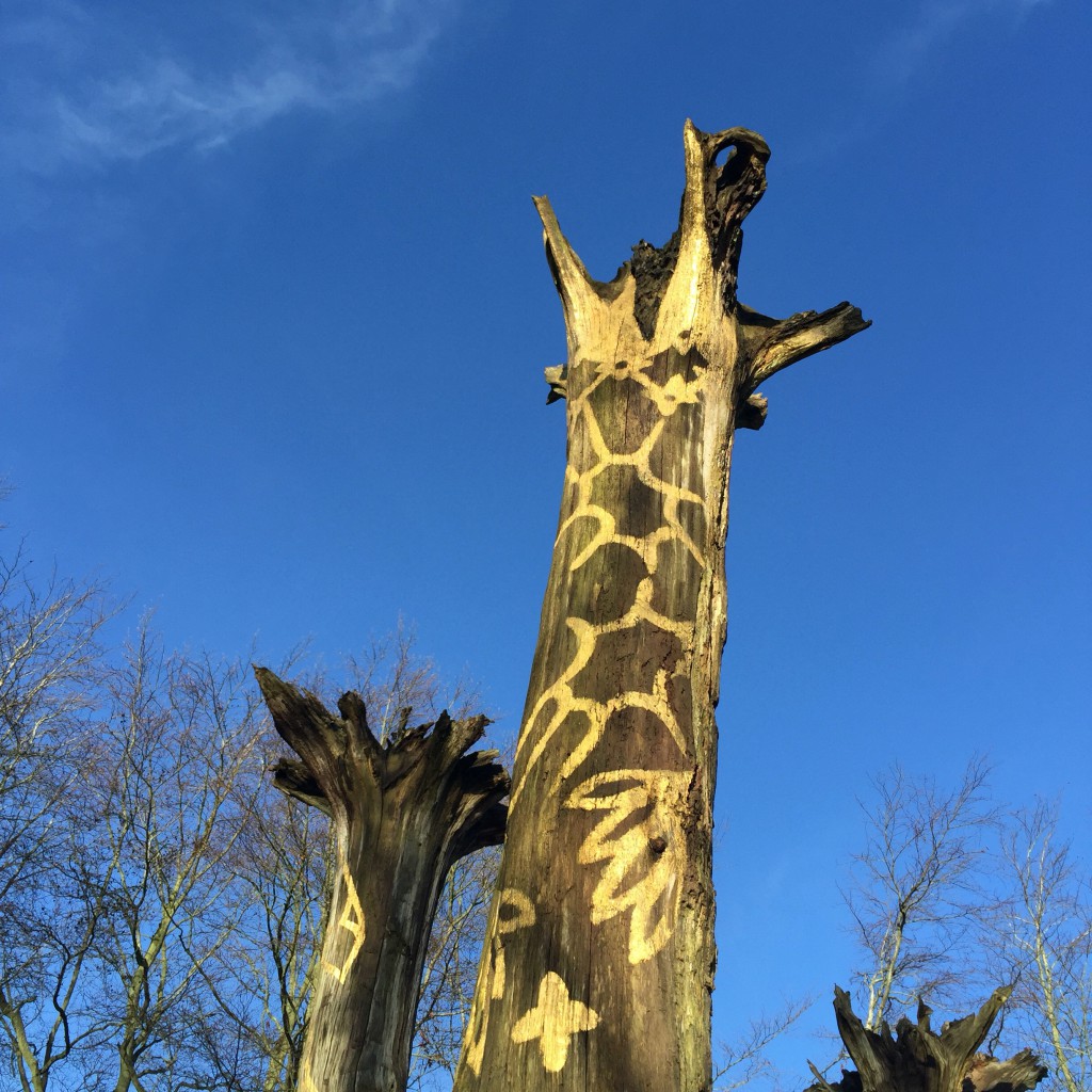 Mottisfont National Trust artSouth giraffes