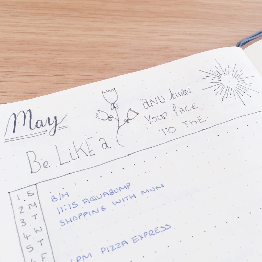 Bullet Journal monthly may