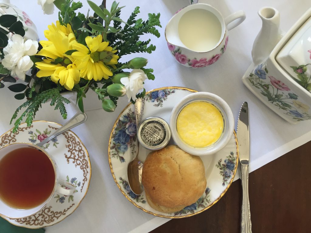 Cream tea at Saltram National Trust