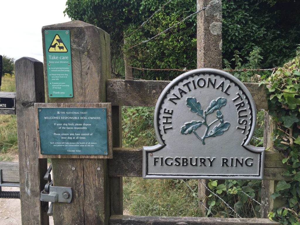 Figsbury Ring