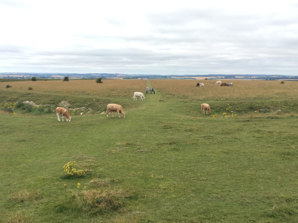 Figsbury Ring