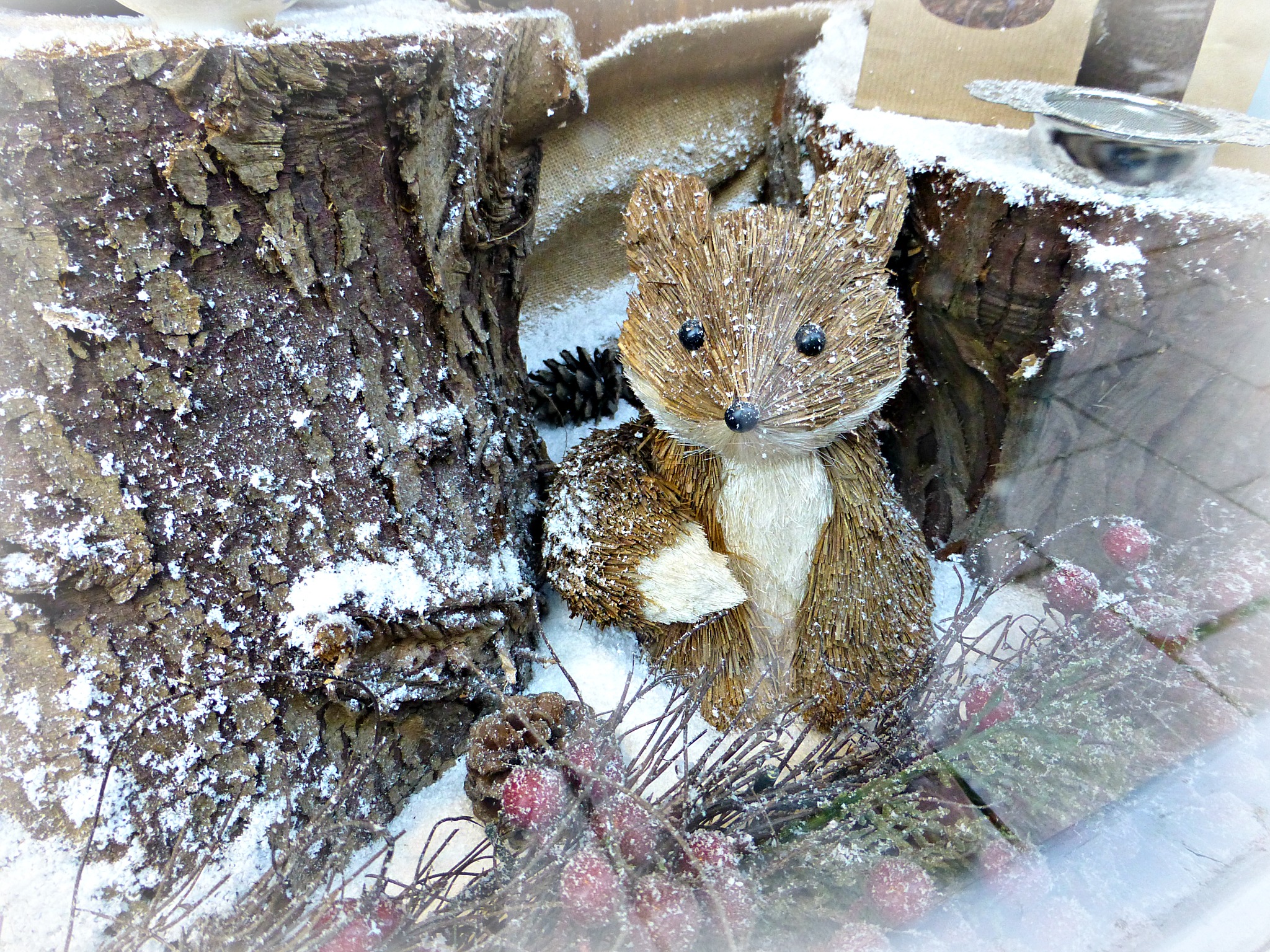 A fox in a Christmas window display