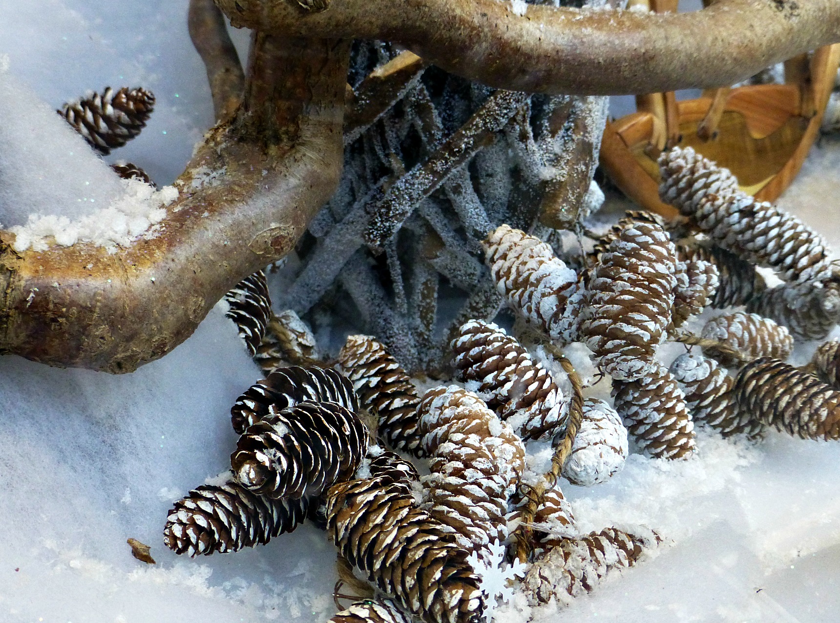 Pinecones