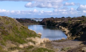 Hengistbury Head Quarry Pond