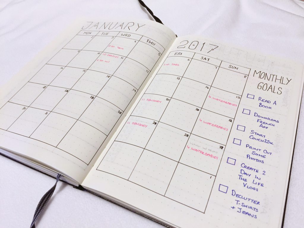 Bullet Journal 2017 monthly spread for january