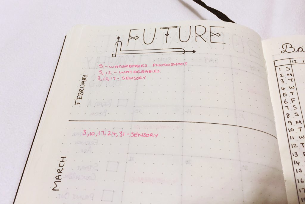 Bullet Journal 2017 future log