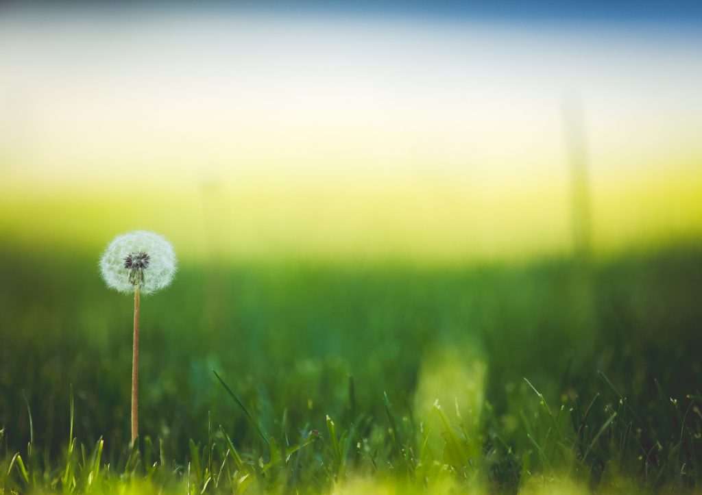 Wonderful Wednesday stock photo