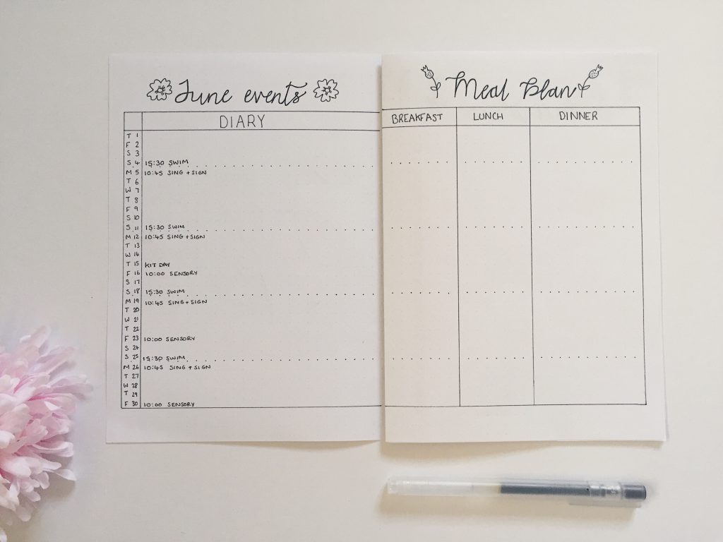 June bullet journal spread month overview and meal plan