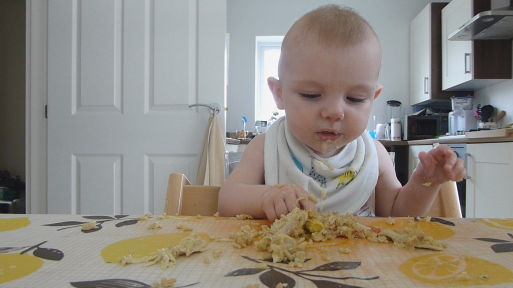 Baby Led Weaning Chicken Breast / Baby-led Weaning by Gill Rapley - Penguin Books Australia / Learn more about what it is, when to start and first foods.