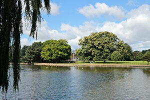 Osterley Park lake and trees