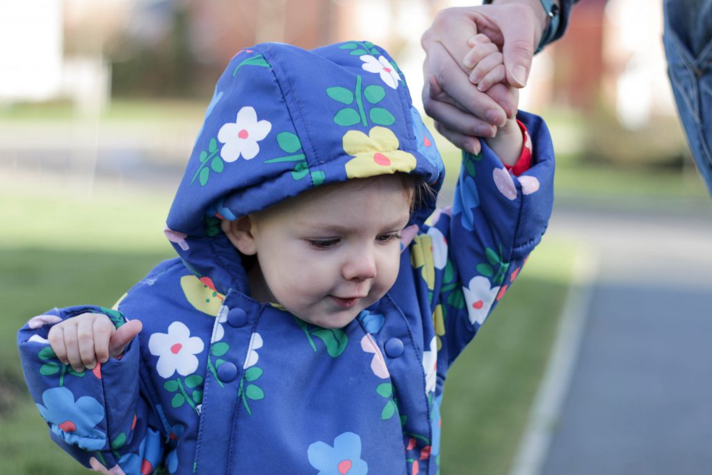 Autumn Walks