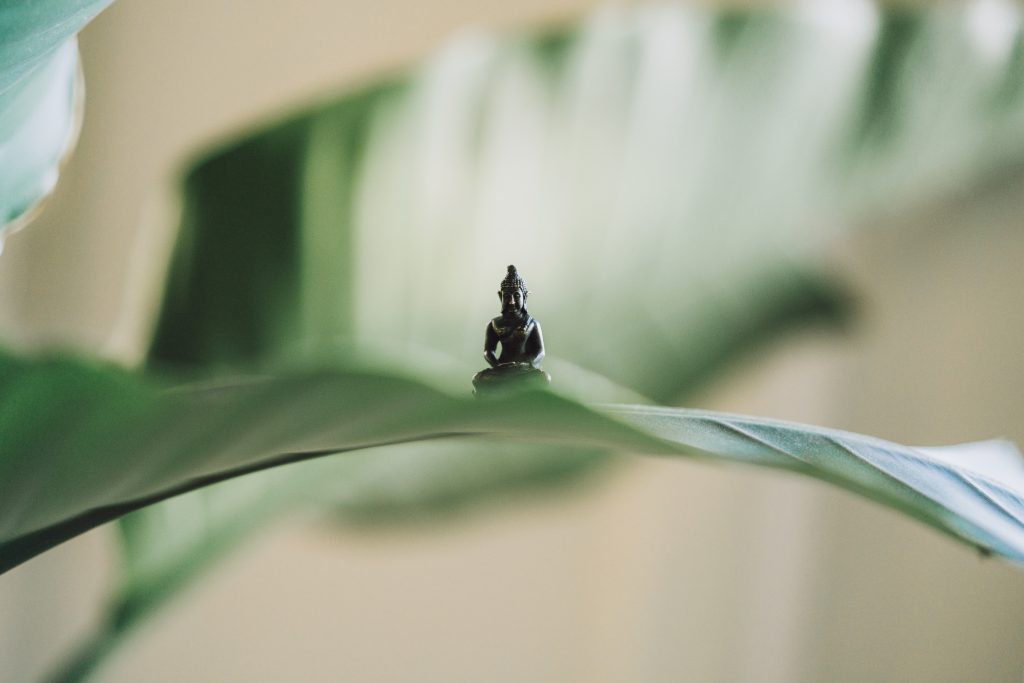 mindful meditation with Headspace