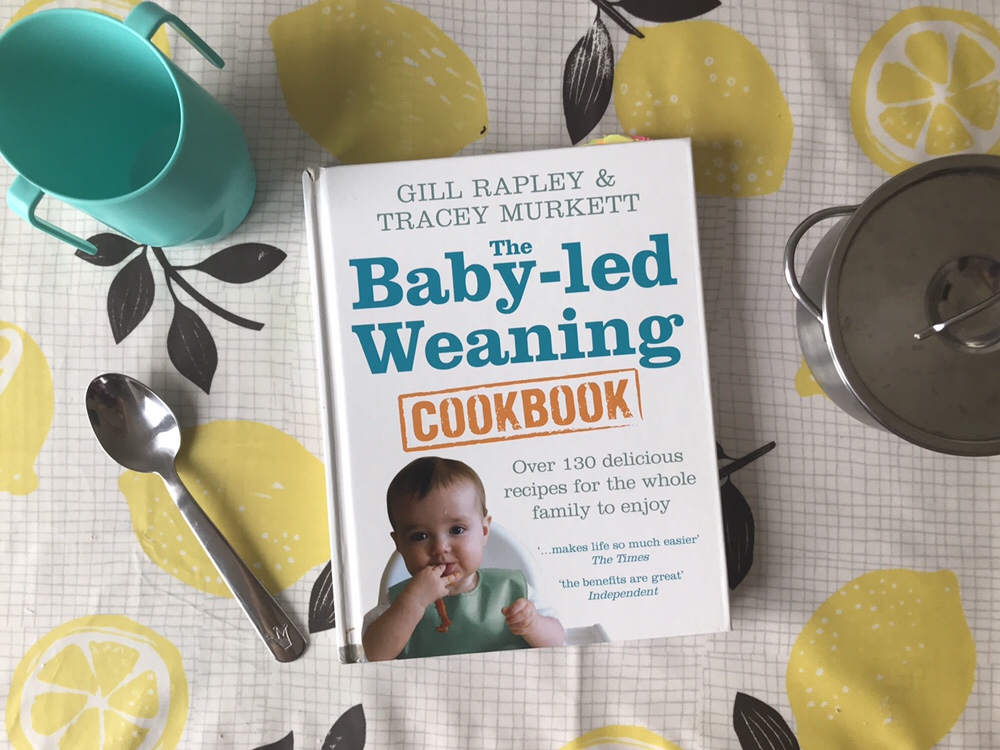 The Baby-Led Weaning Cookbook review