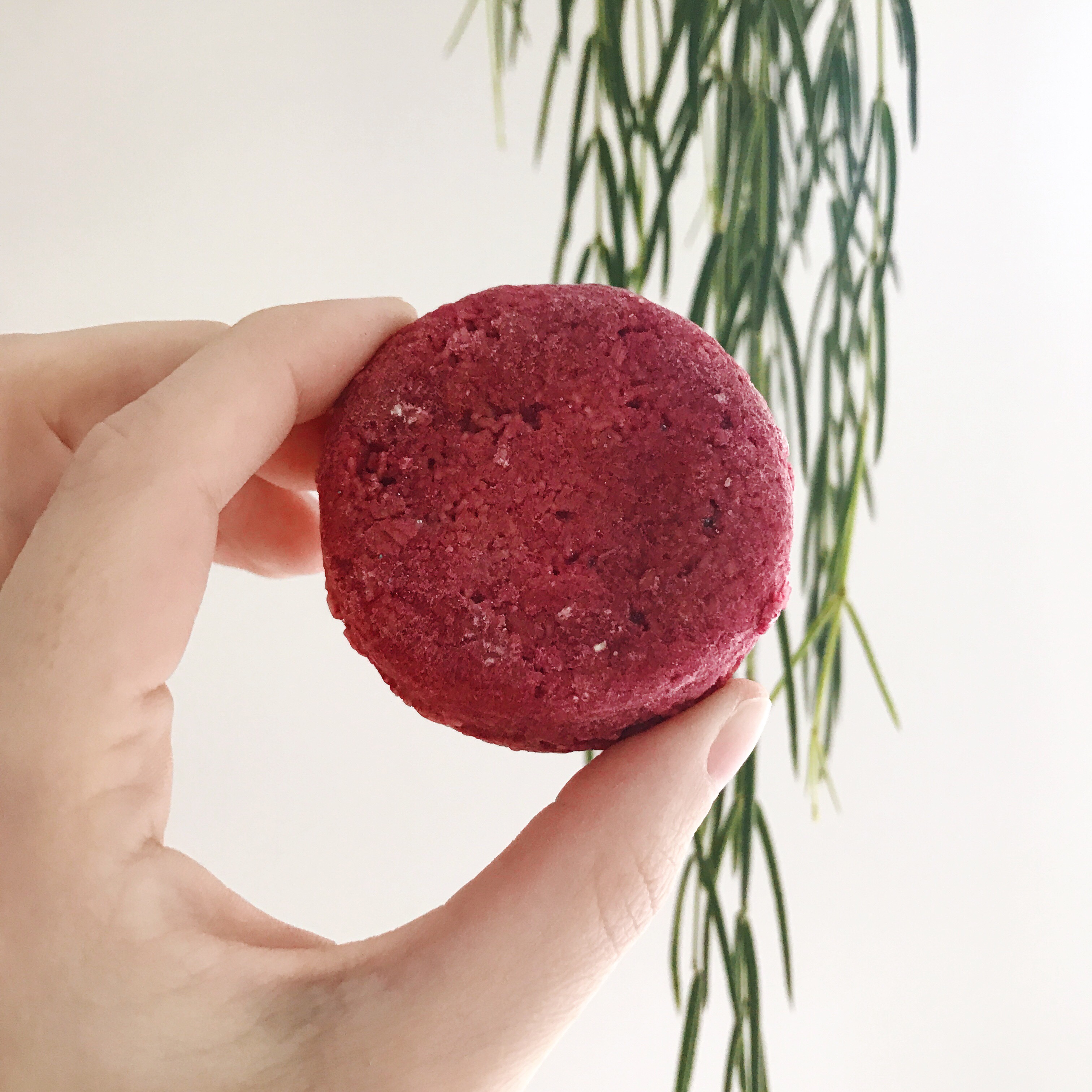 zero waste shampoo bar from lush